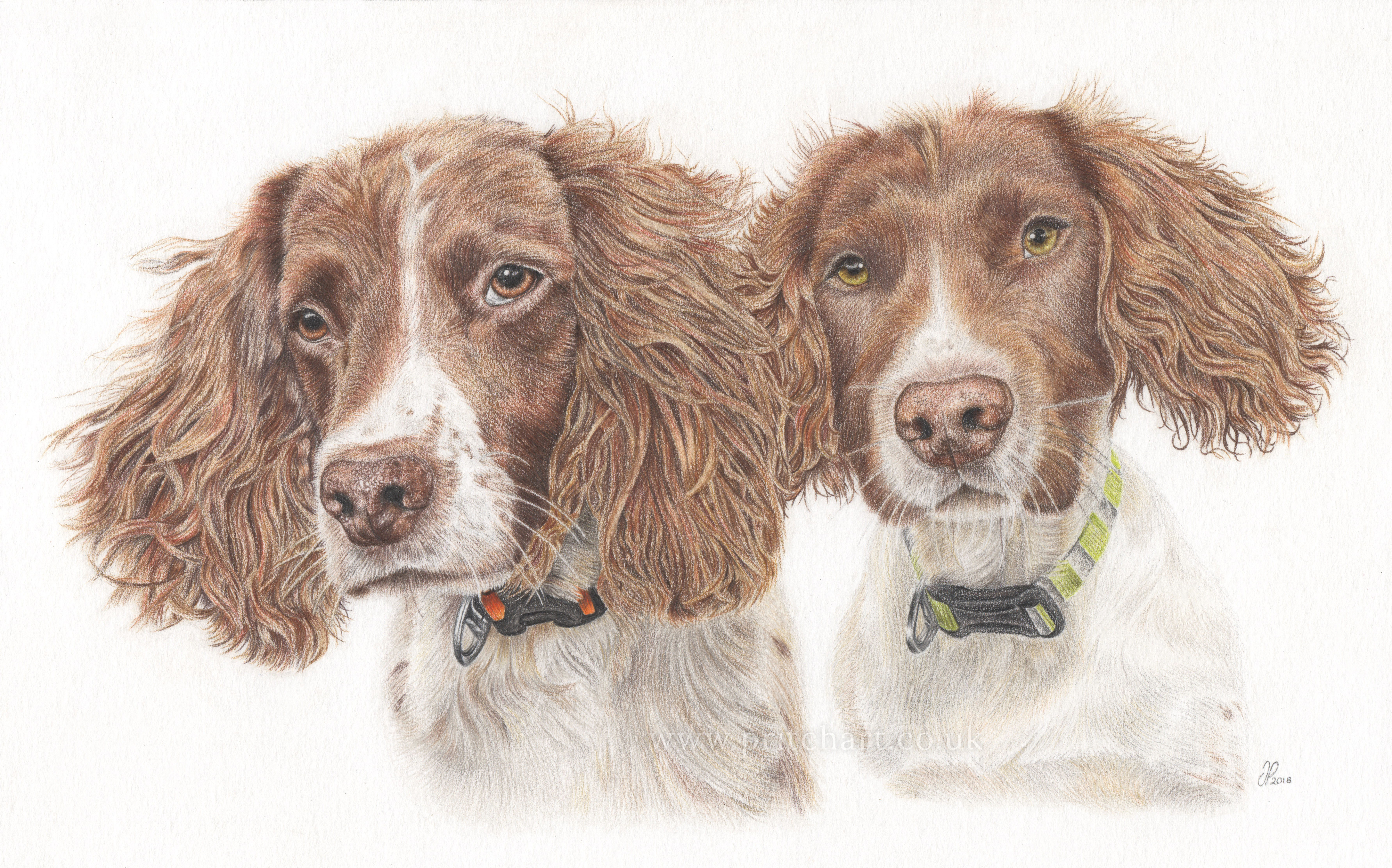 Max and Paddy portrait