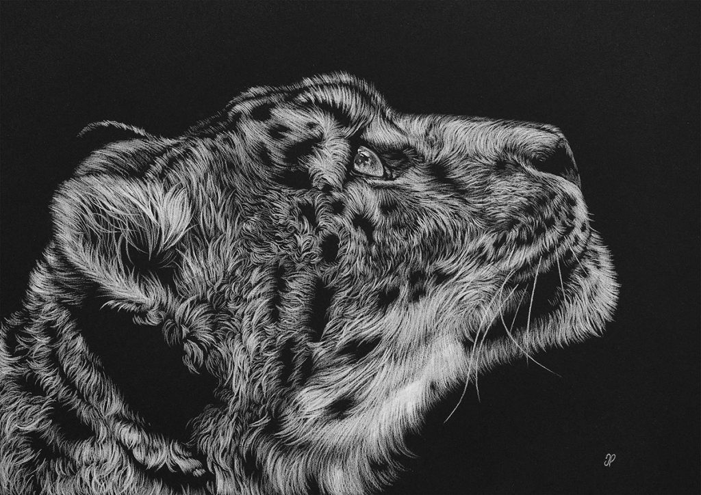 Black and white snow leopard drawing