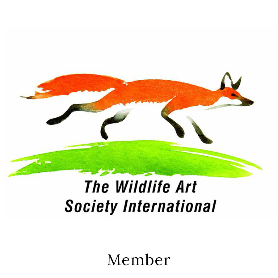 Member of The Wildlife Art Society International