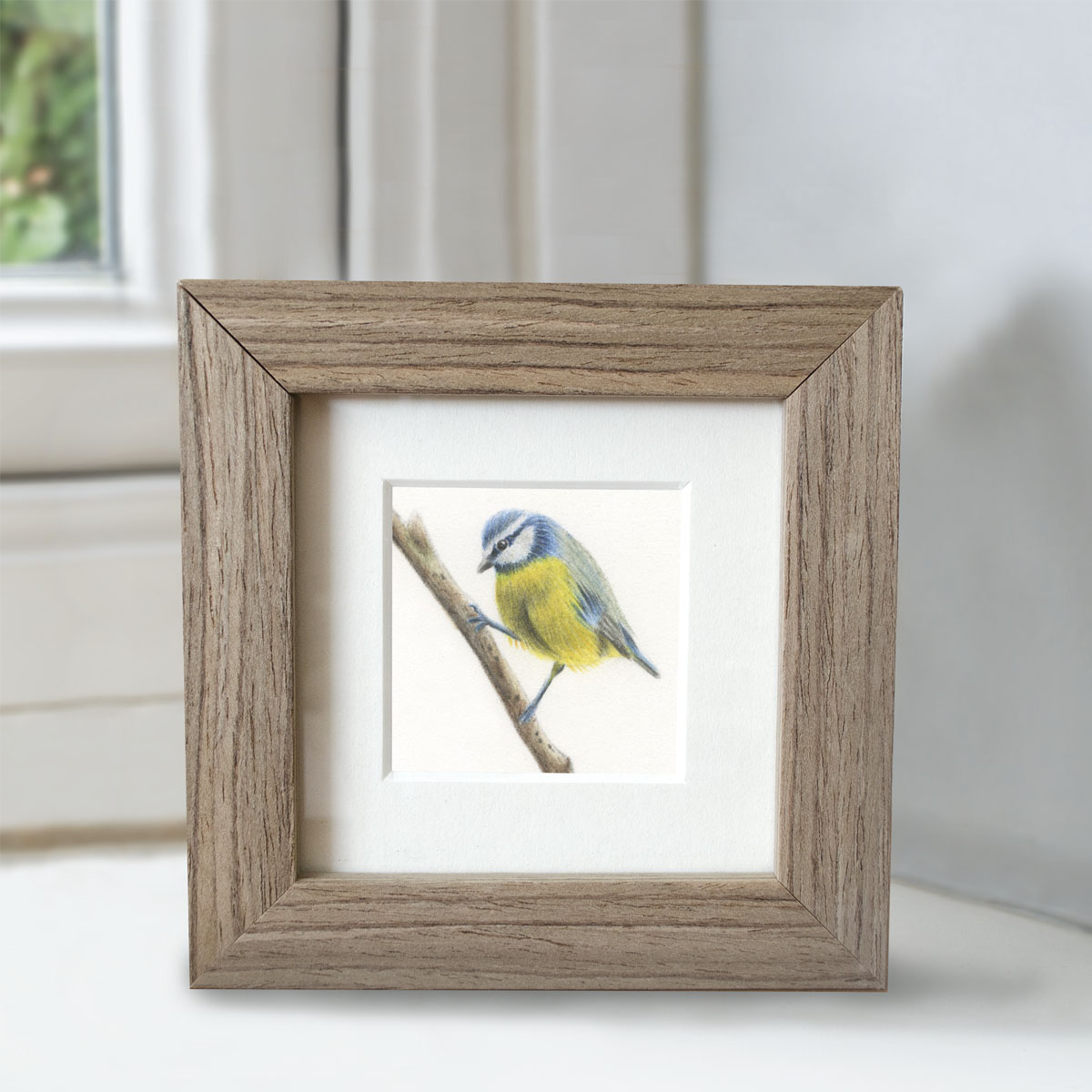 Minature collection - Blue Tit