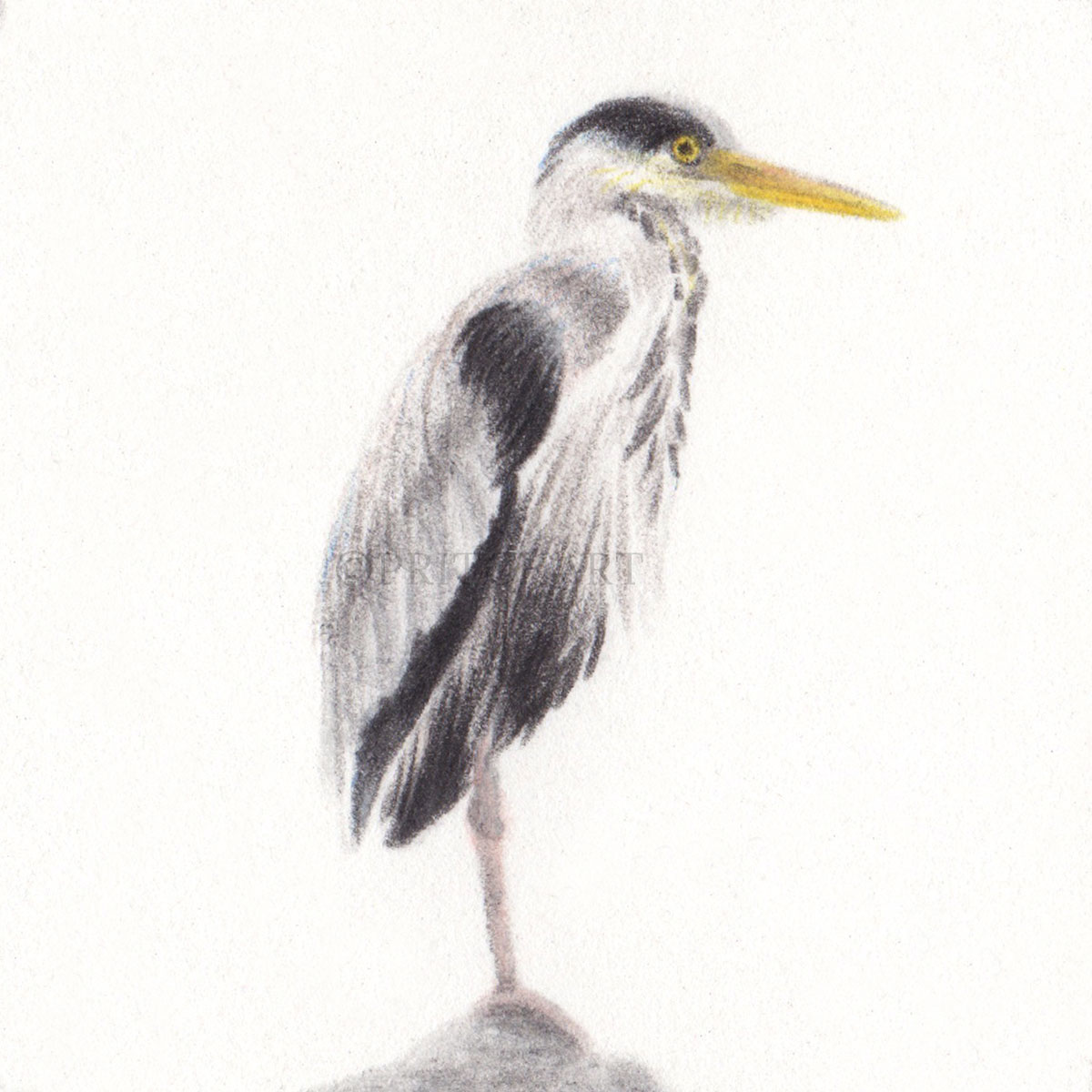 Heron thumbnail 2