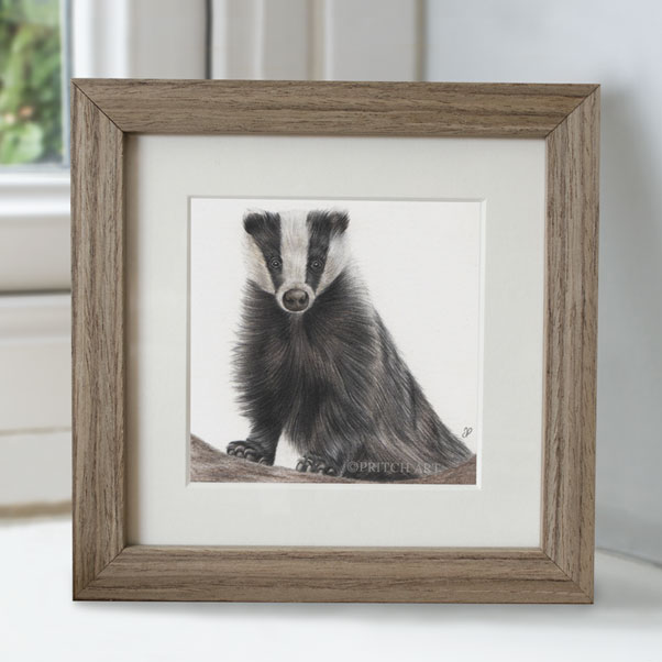 Badger - Preview image  British Wildlife Art