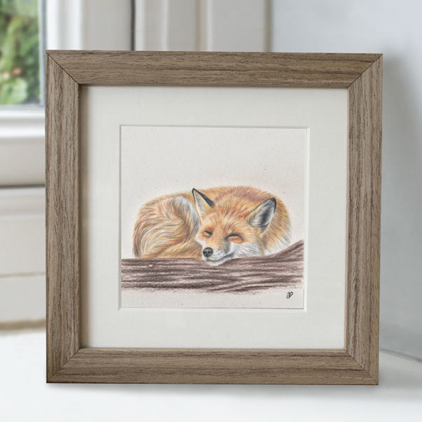 Fox - Preview image  British Wildlife Art
