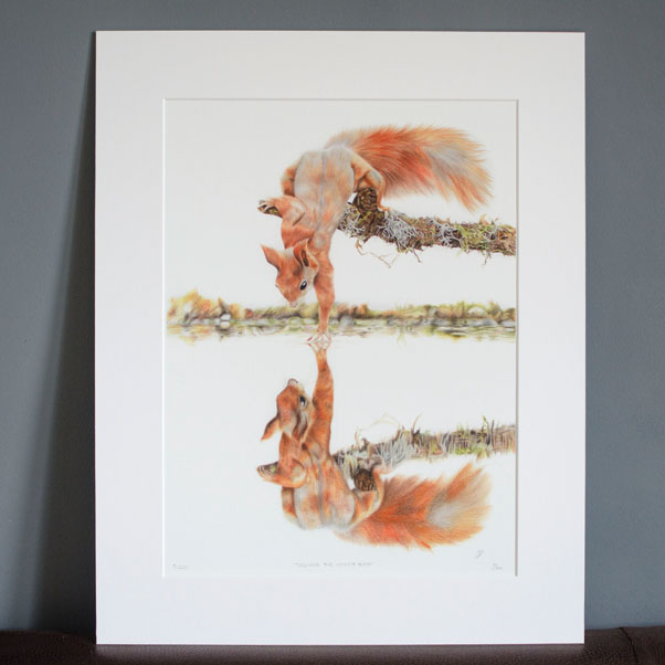 Touching the Looking Glass Print - Preview image  British Wildlife Art