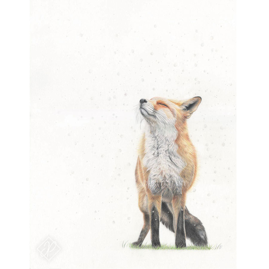 Wildlife Art - Snowfall Print