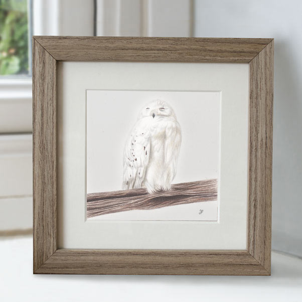Snowy Owl - Preview image  British Wildlife Art