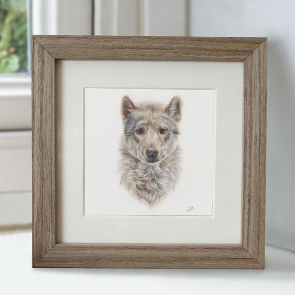 Wolf - Preview image  British Wildlife Art