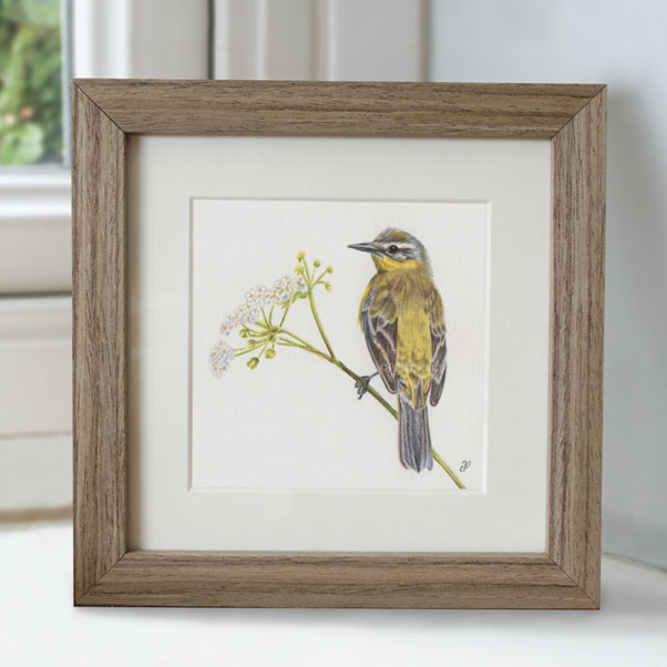 Minature collection - Yellow Wagtail