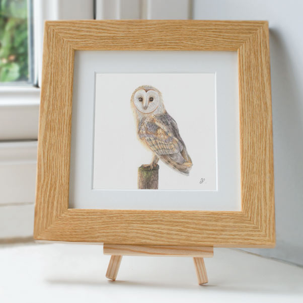 Barn Owl - Preview image  British Wildlife Art