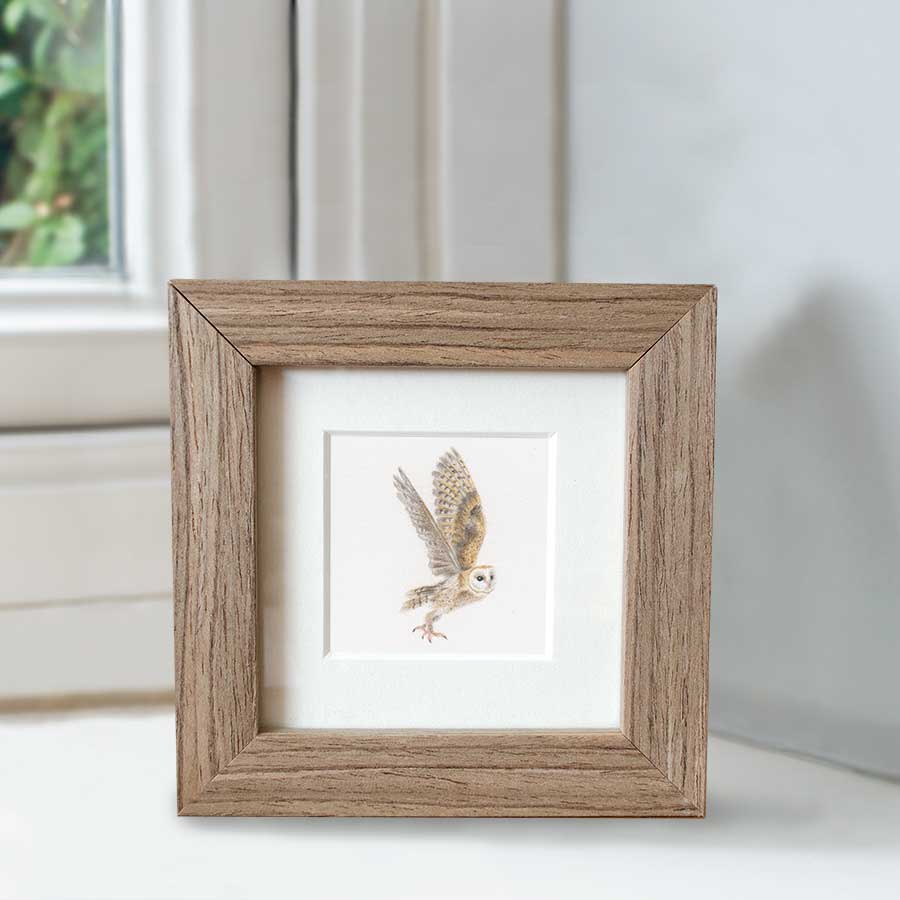 Barn Owl In Flight - Preview image  British Wildlife Art