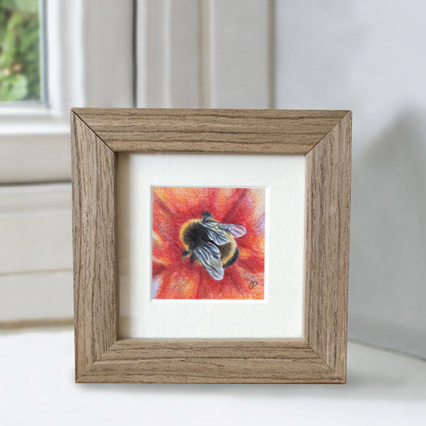 Bumblebee - Preview image  British Wildlife Art