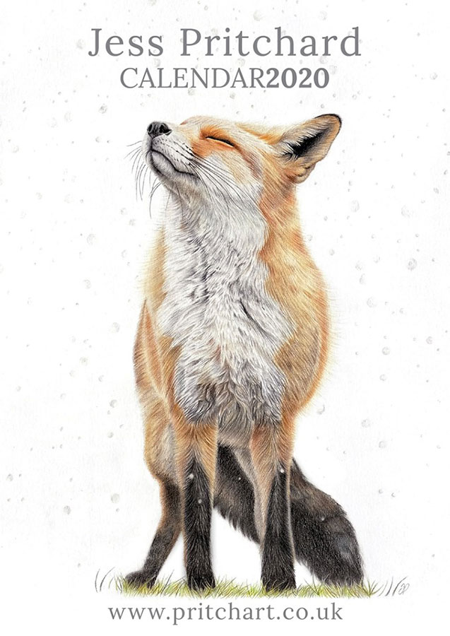 2020 British Wildlife Wall Calendar - Preview image  British Wildlife Art