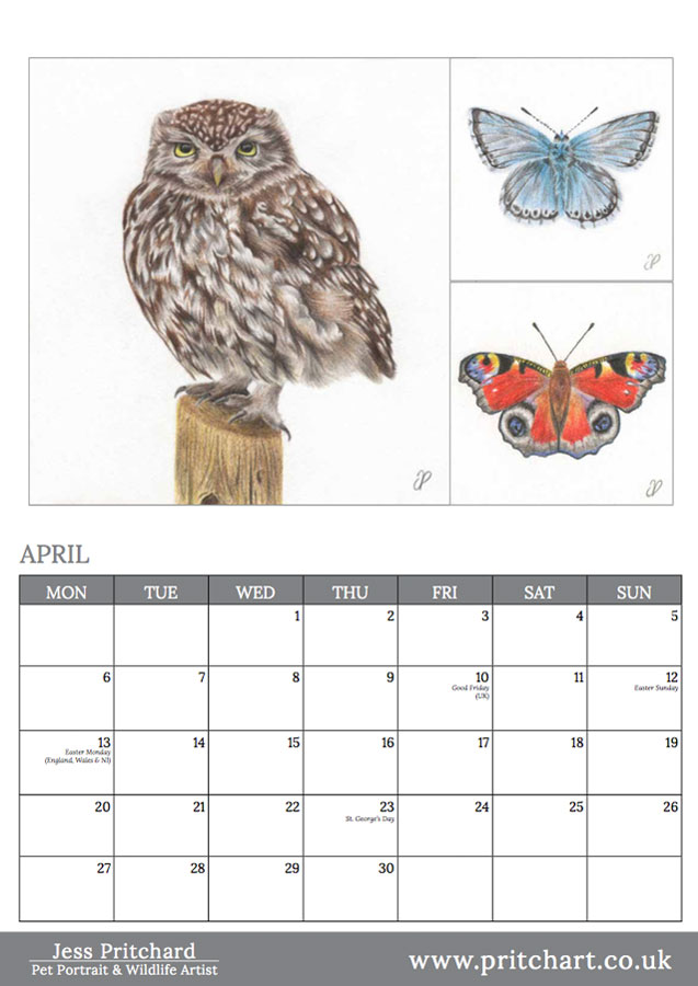 2020 British Wildlife Wall Calendar thumbnail 2