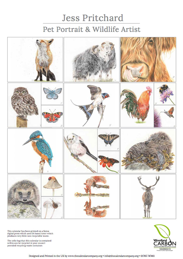 2020 British Wildlife Wall Calendar thumbnail 4