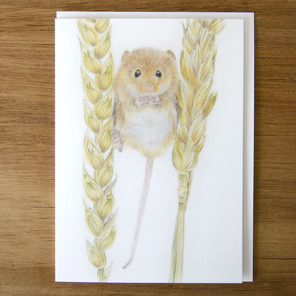 Field Mouse Greeting Card - Preview image  British Wildlife Art
