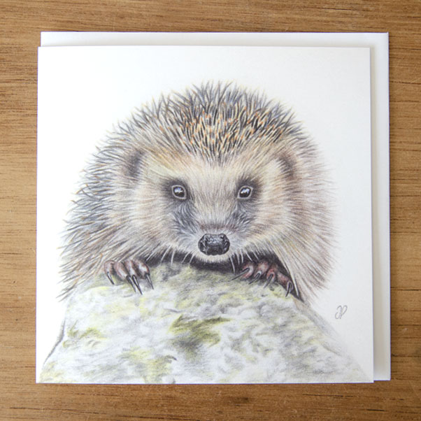 Hedgehog Greeting Card - Preview image  British Wildlife Art