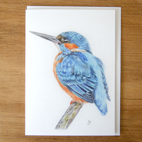 Kingfisher Greeting Card - Preview image  British Wildlife Art