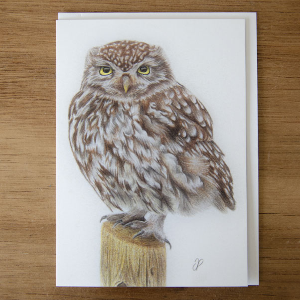 Little Owl Greeting Card - Preview image  British Wildlife Art