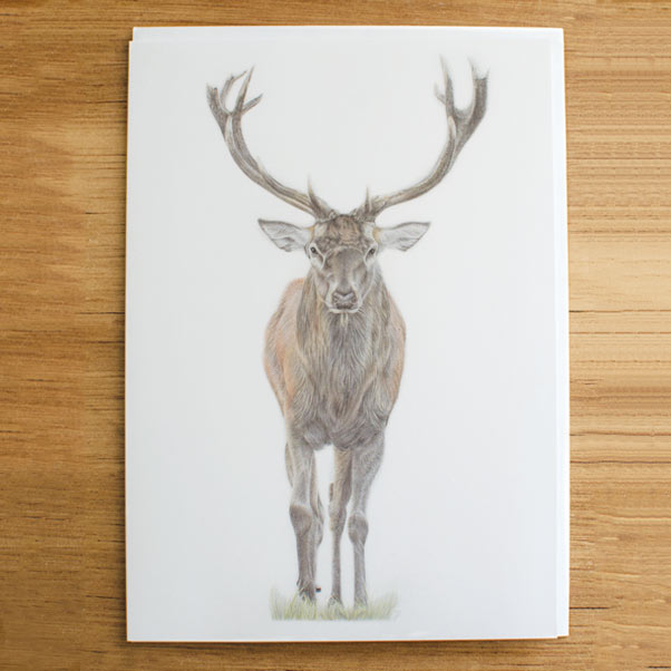 Majesty Greeting Card - Preview image  British Wildlife Art
