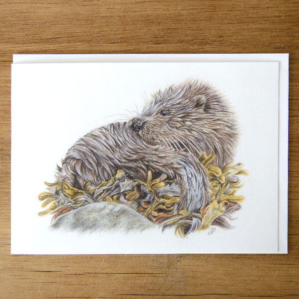 Sea Otter Greeting Card - Preview image  British Wildlife Art
