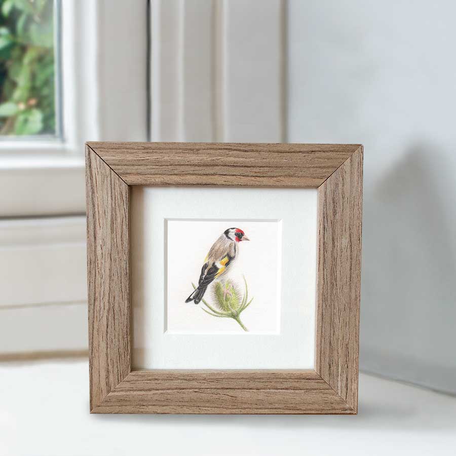 Minature collection - Goldfinch