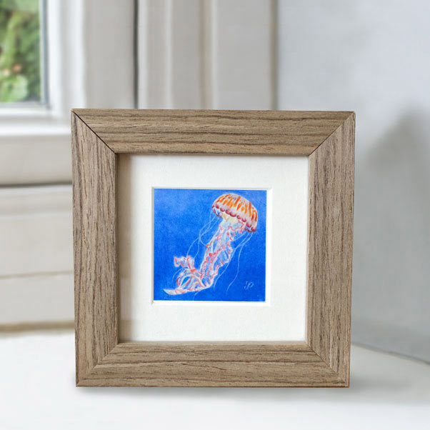 Minature collection - Jellyfish