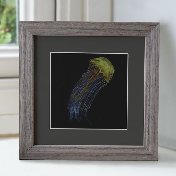 Minature collection - Jellyfish