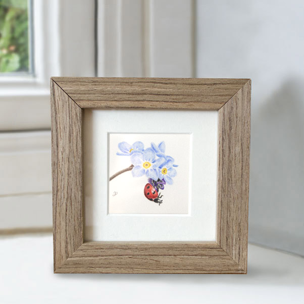 Ladybird 2 - Preview image  British Wildlife Art