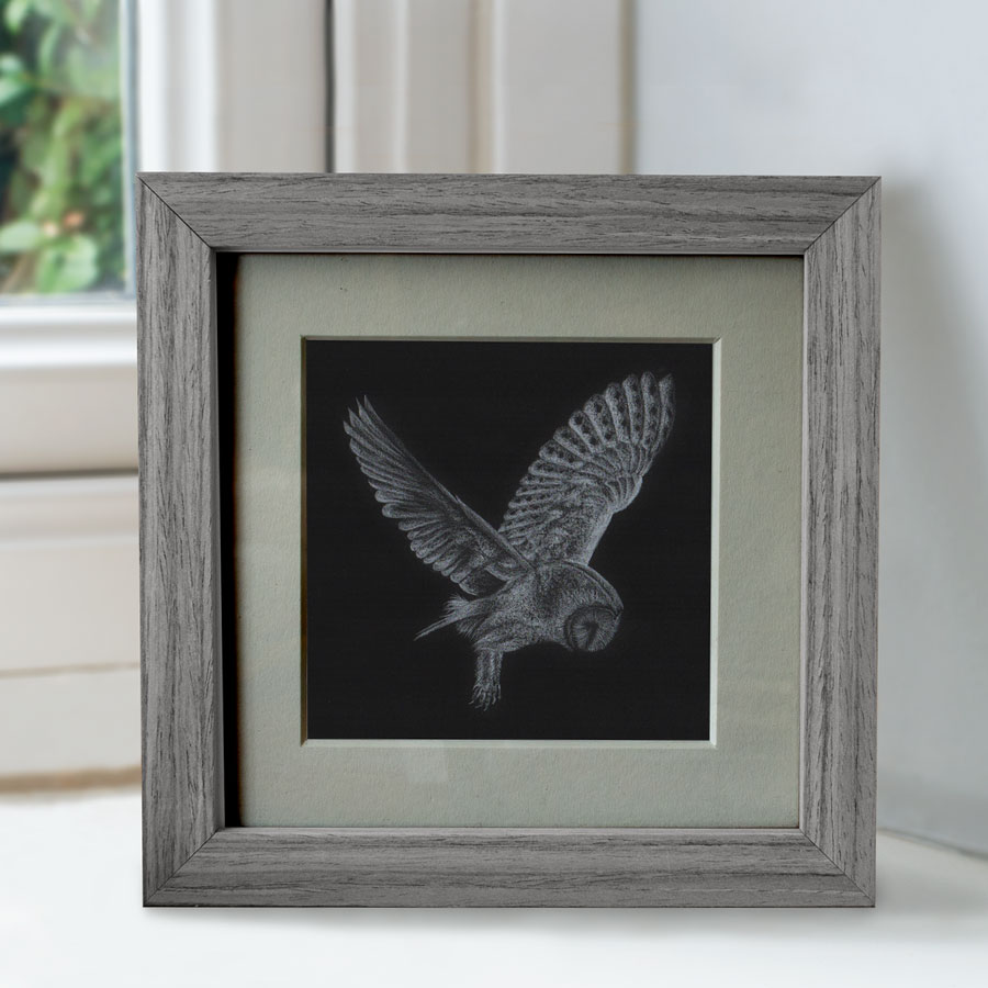 Barn Owl - Preview image  British Wildlife Art