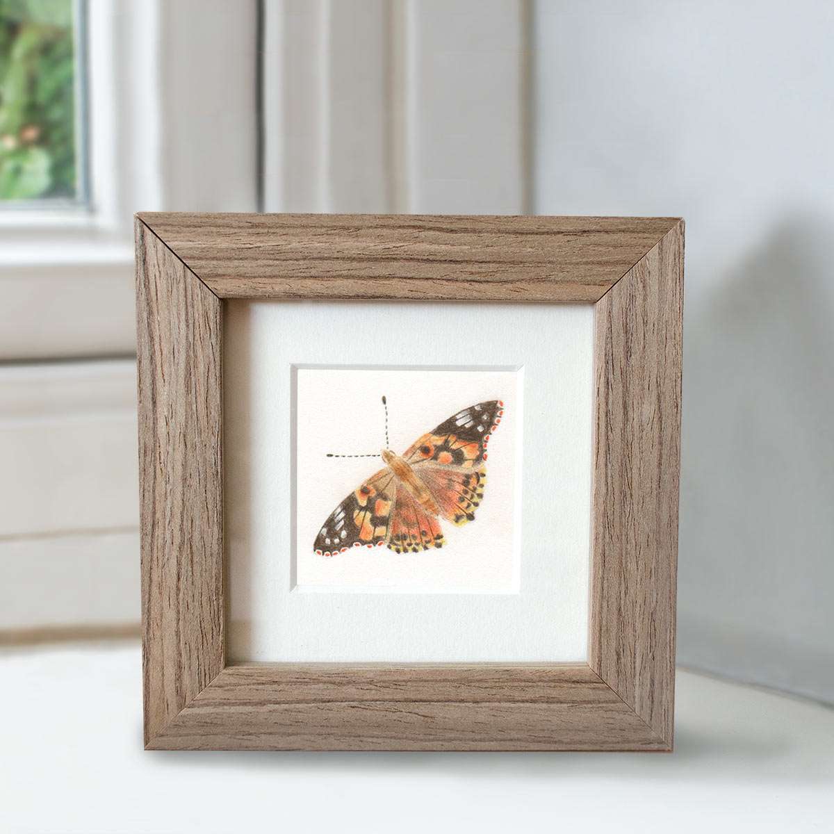 Painted Lady - Preview image  British Wildlife Art