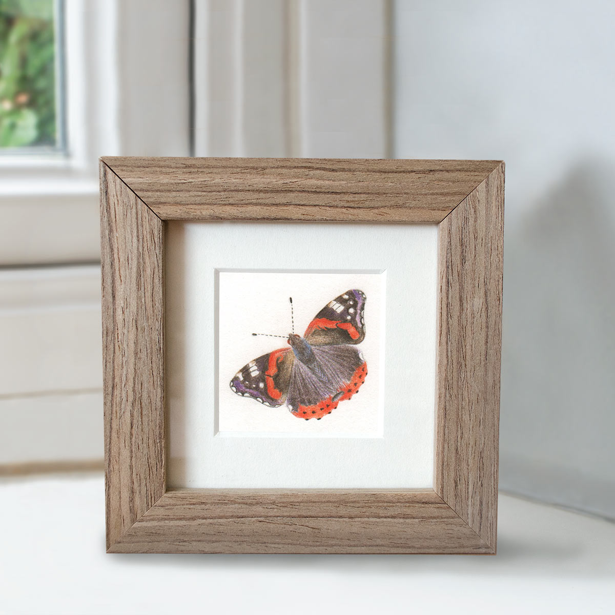 Red Admiral - Preview image  British Wildlife Art