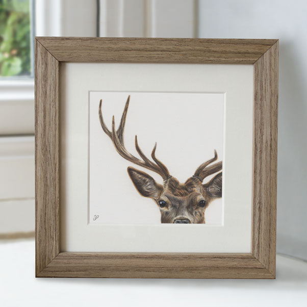 Red Deer - Preview image  British Wildlife Art
