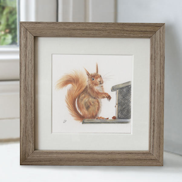 Minature collection - Red Squirrel