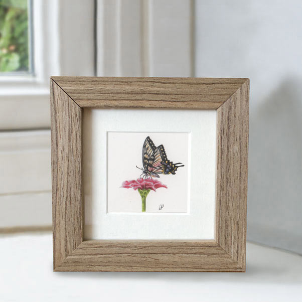 Minature collection - Swallowtail Butterfly