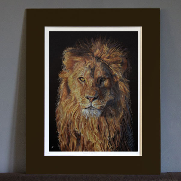 The Regal King - Preview image  British Wildlife Art