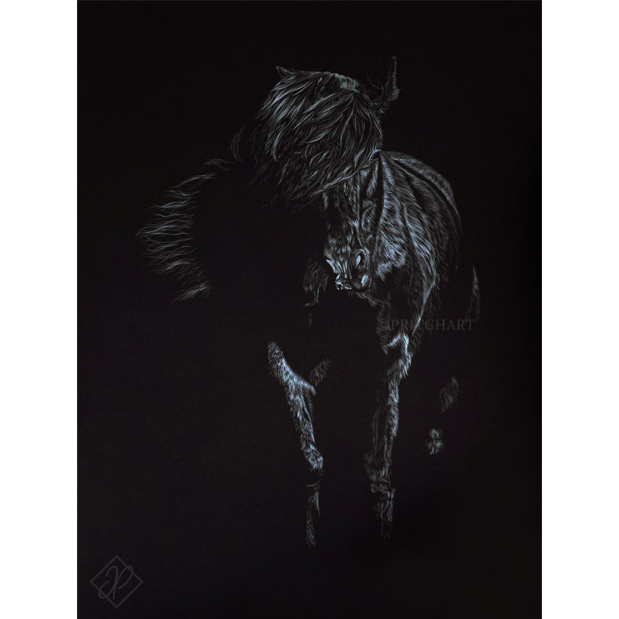 Wildlife Art - Wild Fell Pony Print
