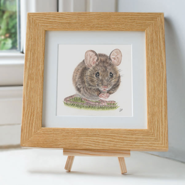 Wood Mouse - Preview image  British Wildlife Art