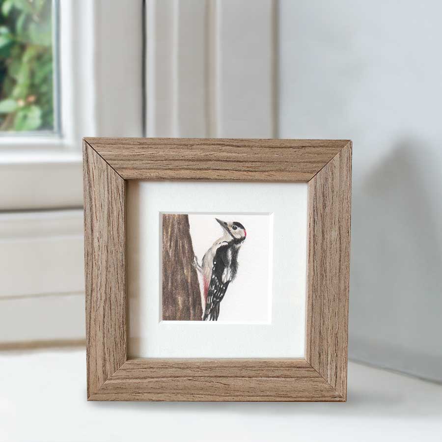 Minature collection - Woodpecker